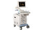 Interruptor de pé móvel do sistema diagnóstico do ultrassom de Doppler da cor do Lcd da máquina do ultrassom da definição alta fornecedor