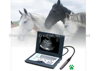 China Do varredor veterinário do ultrassom do portátil CLS5800 sistema diagnóstico ultrassônico de Digitas completamente fornecedor