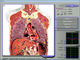 analisador de composição do corpo da saúde de 3d Nls, analisador do glóbulo fornecedor