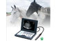 Do varredor veterinário do ultrassom do portátil CLS5800 sistema diagnóstico ultrassônico de Digitas completamente fornecedor